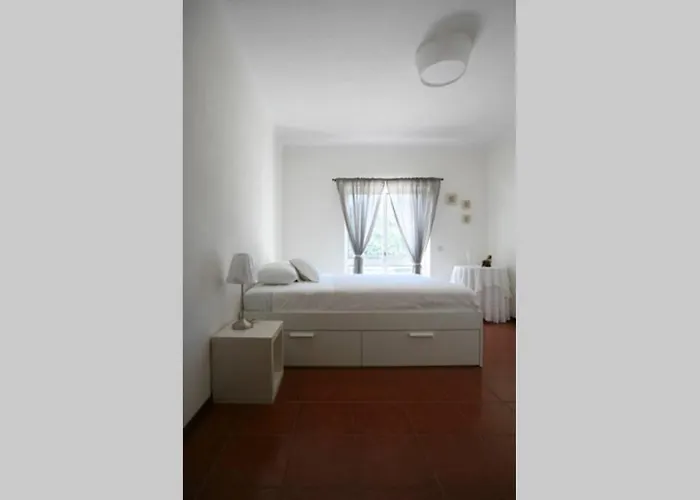 Douro Valley - Casa Do Campo Resende 펜션 Covelas (Porto)